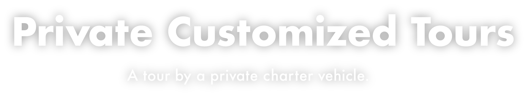Private Customized Tours A tour by a charter vehicle.