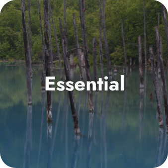 Essential