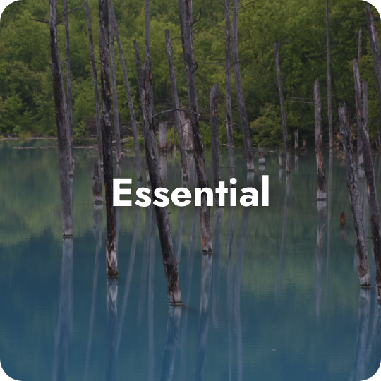 Essential