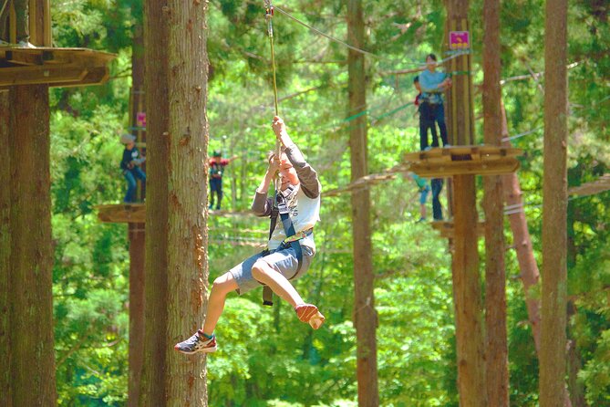 240149 Hokkaido Wild Experiences: Forest Adventure and Day Camp | Go ...